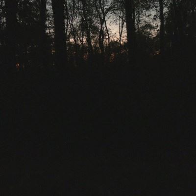 Haunted Trail Night Sky