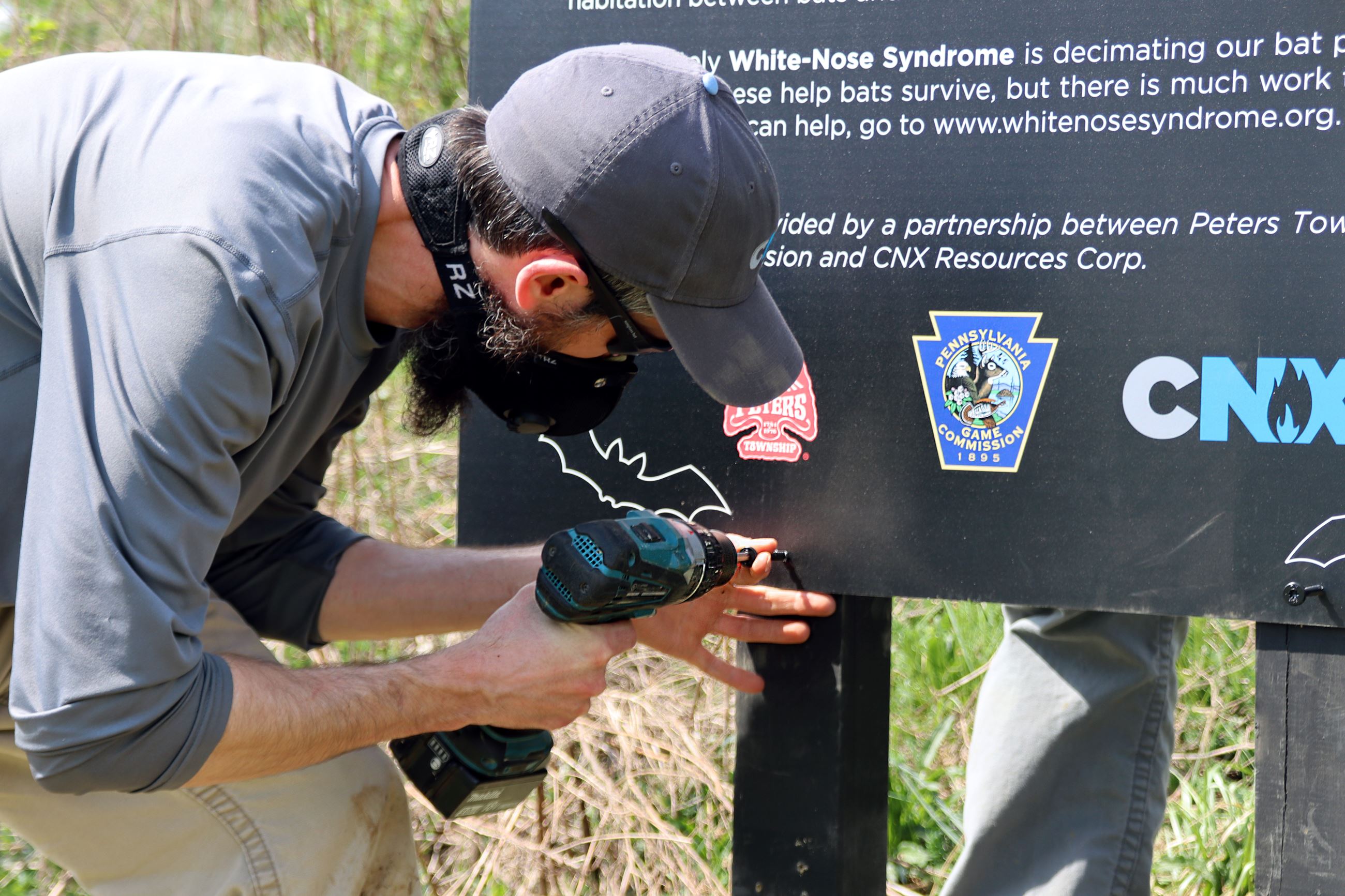 Bat Box Installation