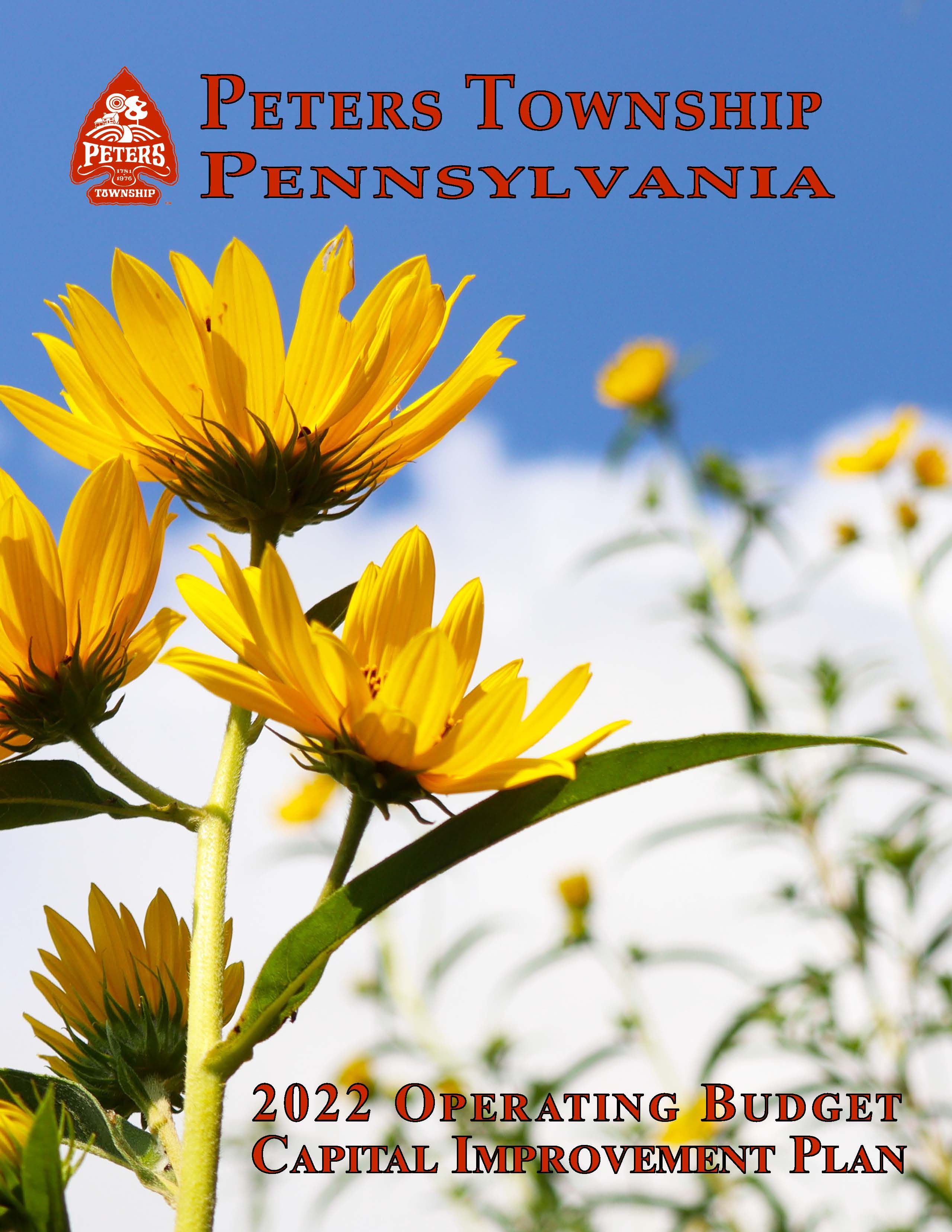 Budget Cover Photo Opens in new window